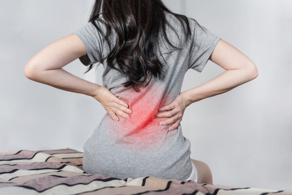 Top Chiropractor